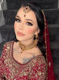 24k Gold plated 4pcs  bride Indian/Pakistani Bridal Choker Jewelry Set for Wedding (Necklace, Maang Tikka, Jhumka Earrings, Jhoomar)